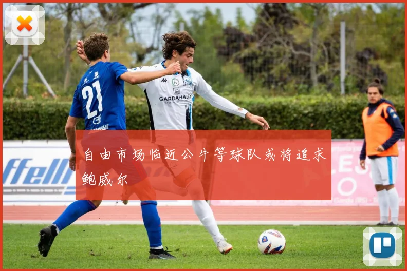 自由市场临近公牛等球队或将追求鲍威尔