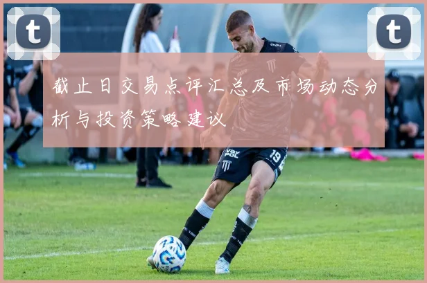 截止日交易点评汇总及市场动态分析与投资策略建议